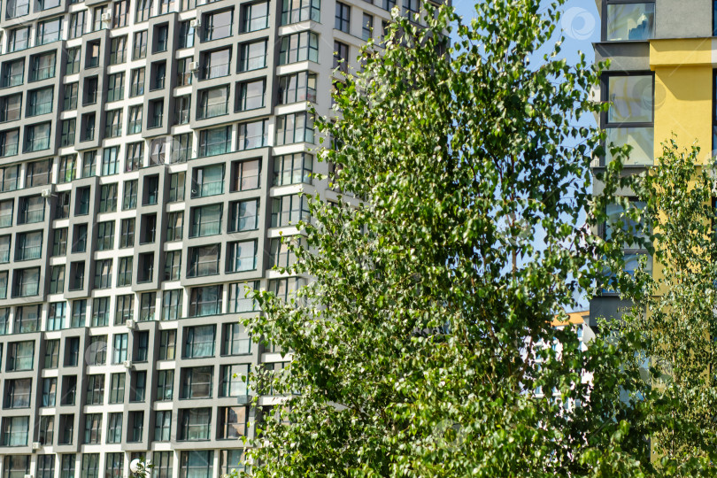 Скачать Современная городская архитектура, сочетающая В себе Красивую Пышную зелень фотосток Ozero