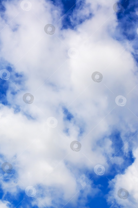 Скачать Небо голубое и украшено плывущими по нему пушистыми белыми облаками фотосток Ozero