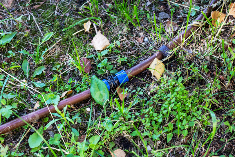 Скачать Ирригационная труба расположена среди пышной зелени и обильной флоры фотосток Ozero