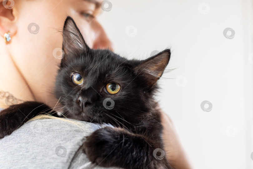 Скачать Очаровательная черная кошечка, которую радостно обнимает человек фотосток Ozero