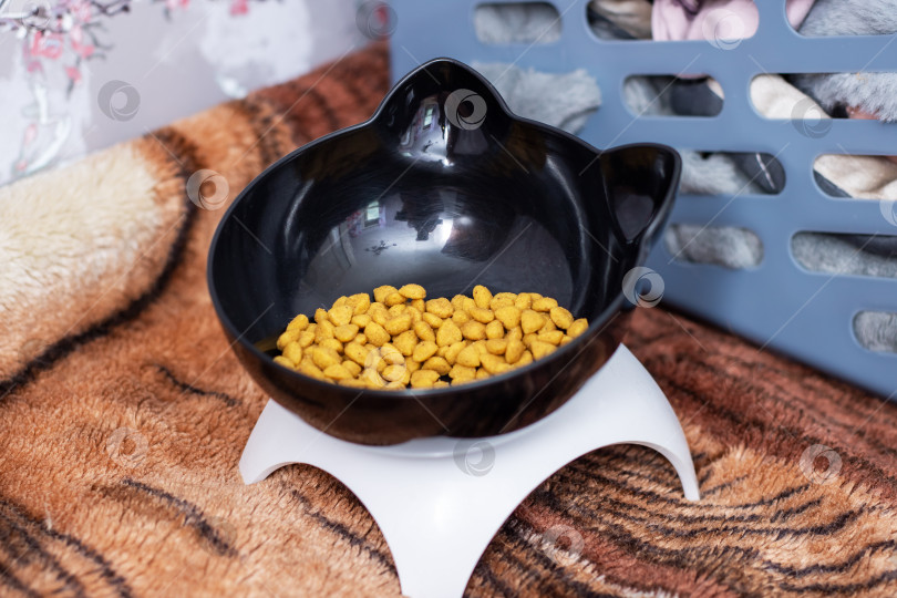 Скачать Стильная черная миска для кошек, наполненная сухим кормом, поставленная на коврик для домашних животных фотосток Ozero