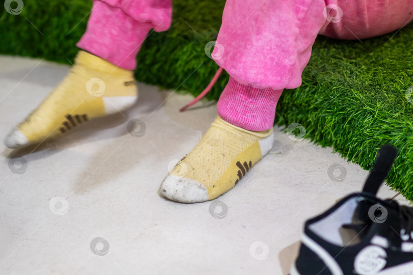 Скачать Игривая коллекция обуви, яркие носки в повседневном стиле фотосток Ozero