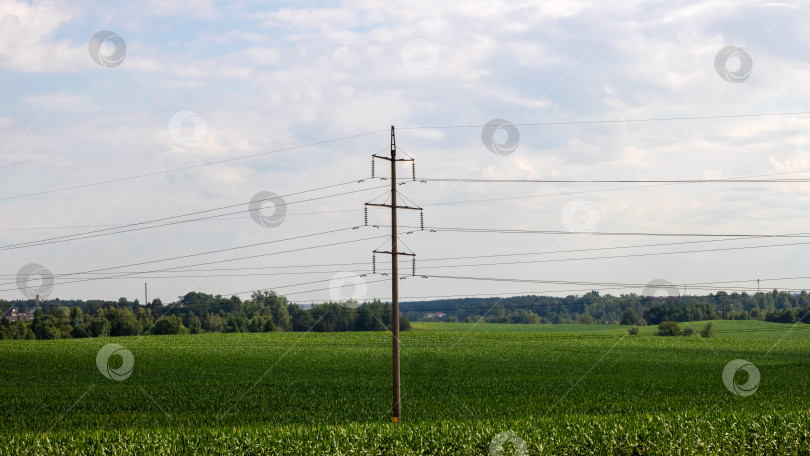 Скачать Живописный сельский пейзаж с линиями электропередач и зелеными полями фотосток Ozero