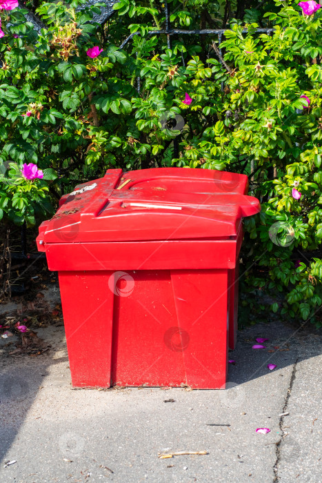 Скачать Ярко-красное мусорное ведро, красиво окруженное пышной зеленой листвой фотосток Ozero