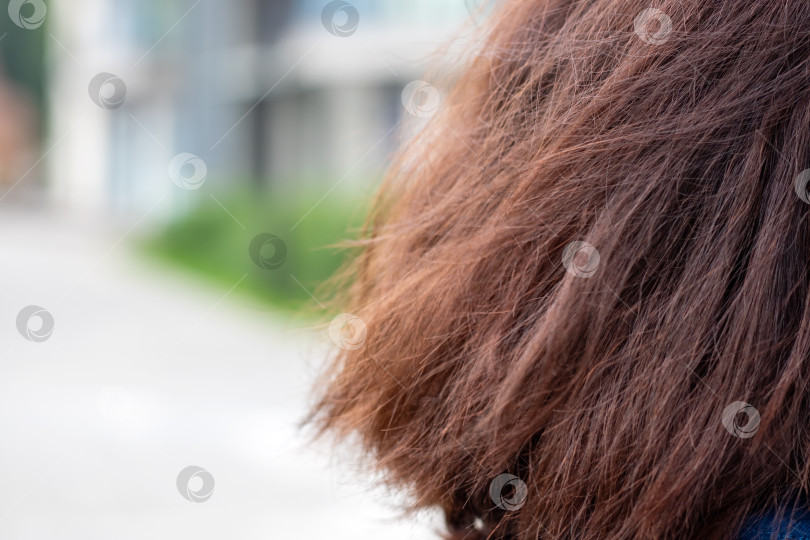Скачать Интимный снимок женской прически крупным планом, сделанный в городской обстановке фотосток Ozero