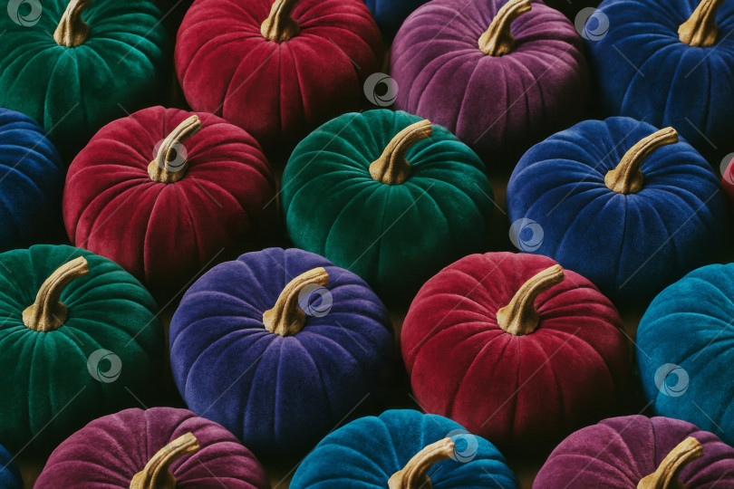 Скачать Разноцветные тыквы различных оттенков для украшения Хэллоуина, подходящие в качестве праздничного фона фотосток Ozero