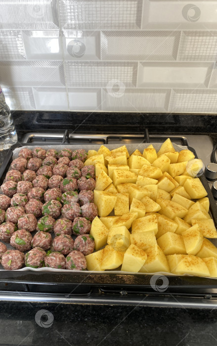 Скачать Сырые фрикадельки и кубики приправленного картофеля выложите на противень перед запеканием в домашних условиях фотосток Ozero