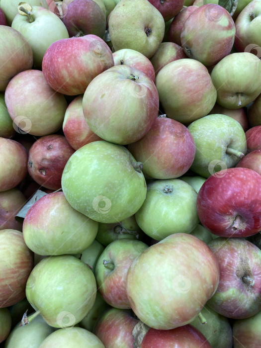 Скачать Свежие яблоки различных оттенков красного и зеленого создают яркий фон для сбора урожая фотосток Ozero