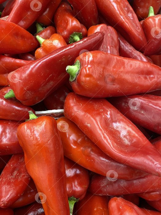 Скачать Горка красного перца образует яркий фон сбора урожая, а свежие продукты используются в кулинарии фотосток Ozero