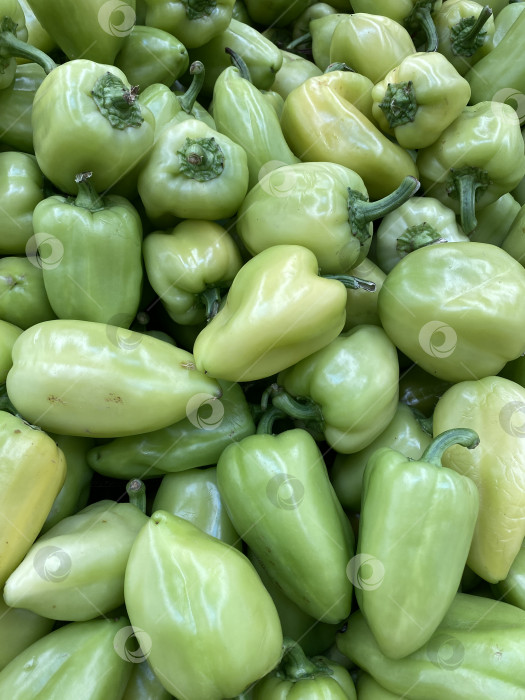 Скачать Зеленый сладкий перец, демонстрирующий свежесть и разнообразие, идеально подходит для оформления фонов на кулинарную тематику фотосток Ozero