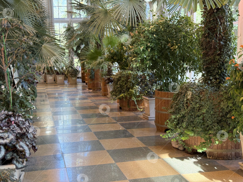 Скачать Крытая дорожка ботанического сада с пышными зелеными растениями и солнечным светом создает умиротворяющую атмосферу фотосток Ozero