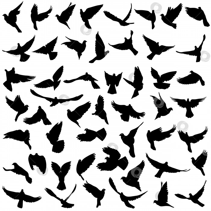 Скачать Концепция любви или мира. Набор силуэтов голубей. Векторная иллюстрация фотосток Ozero