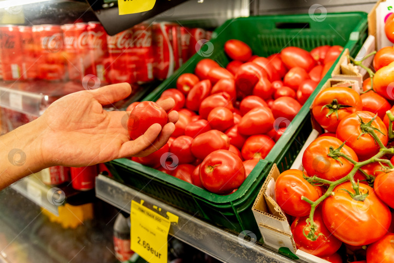 Скачать Бар, Черногория, 22 августа 2025 года, Мужчина выбирает помидоры в овощном магазине фотосток Ozero