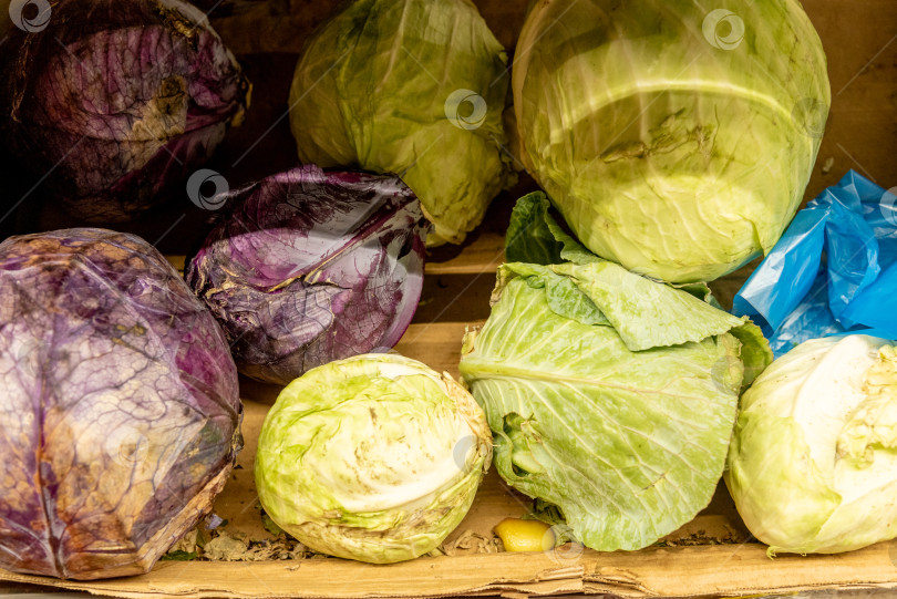 Скачать Капуста в корзине в продуктовом магазине, фрукты и овощи продаются на рынке фотосток Ozero