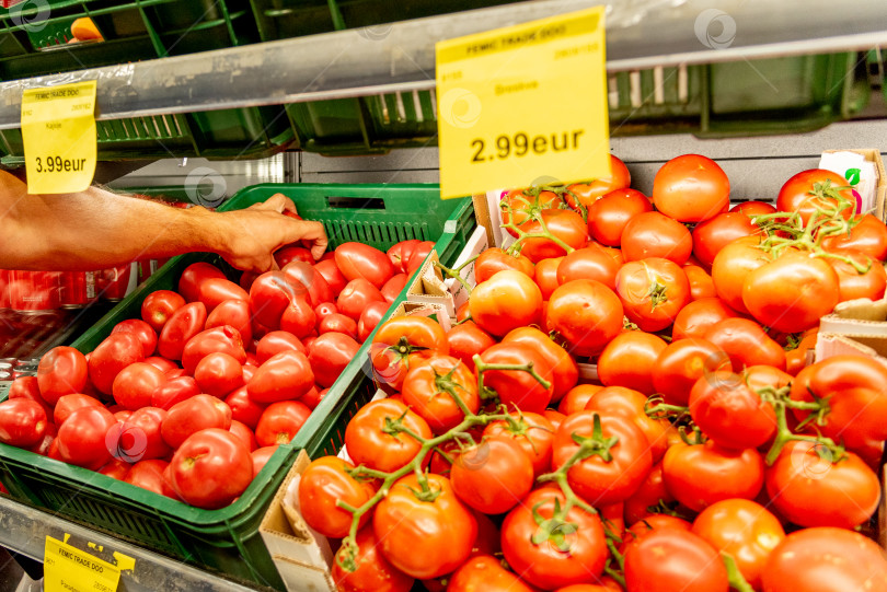 Скачать Бар, Черногория, 22 августа 2025 года, Мужчина выбирает помидоры в овощном магазине фотосток Ozero