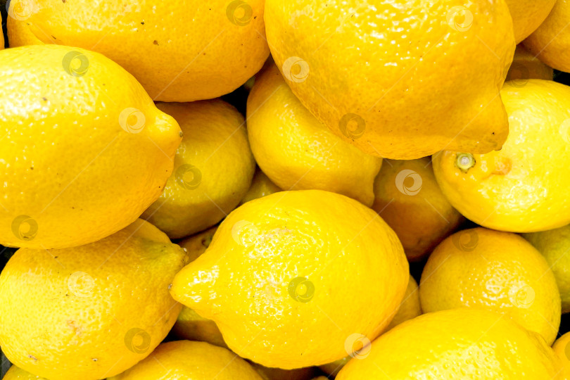 Скачать Лимоны в корзине в продуктовом магазине, фрукты и овощи продаются на рынке фотосток Ozero