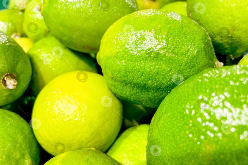 Скачать Лаймы в корзинах в продуктовом магазине, фрукты и овощи продаются на рынке фотосток Ozero