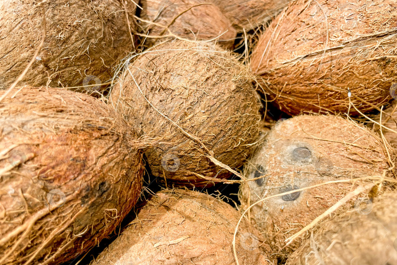 Скачать Кокосы в корзинах в продуктовом магазине, фрукты и овощи продаются на рынке фотосток Ozero