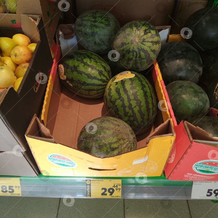Скачать Отдел арбузов в магазине "Пятёрочка". фотосток Ozero