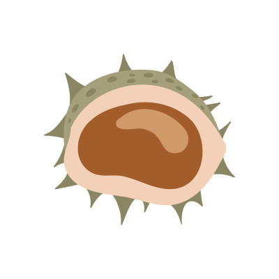 [object Object] undefined
