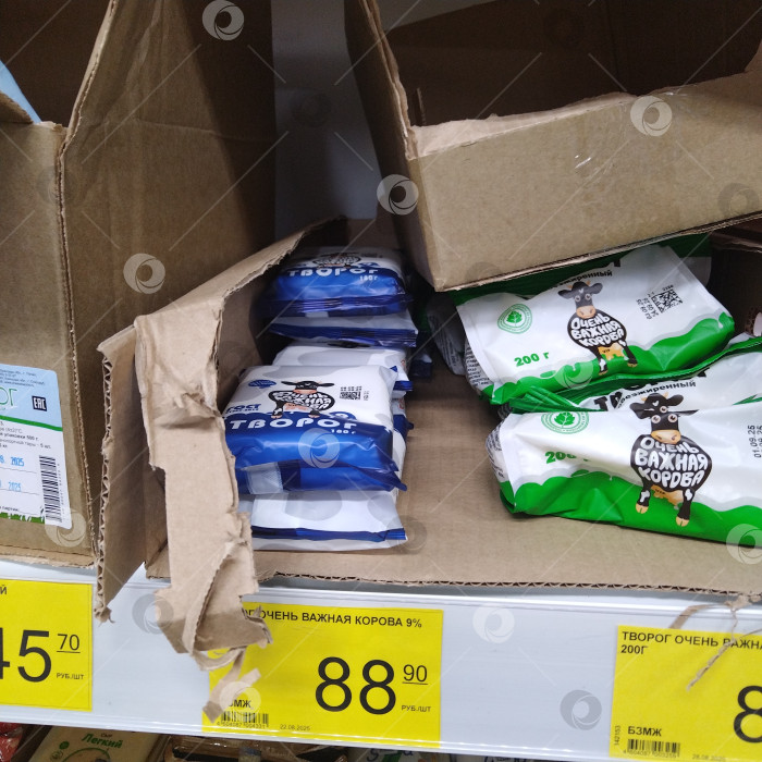 Скачать Отдел творога в магазине "Победа". фотосток Ozero