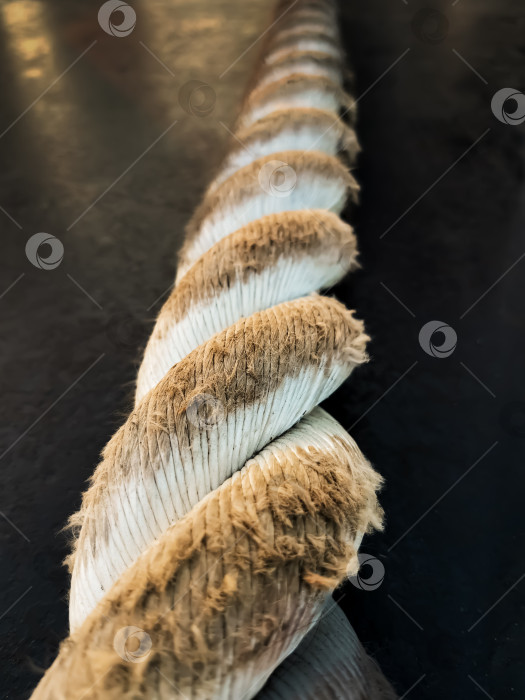 Скачать Грубый канат фотосток Ozero