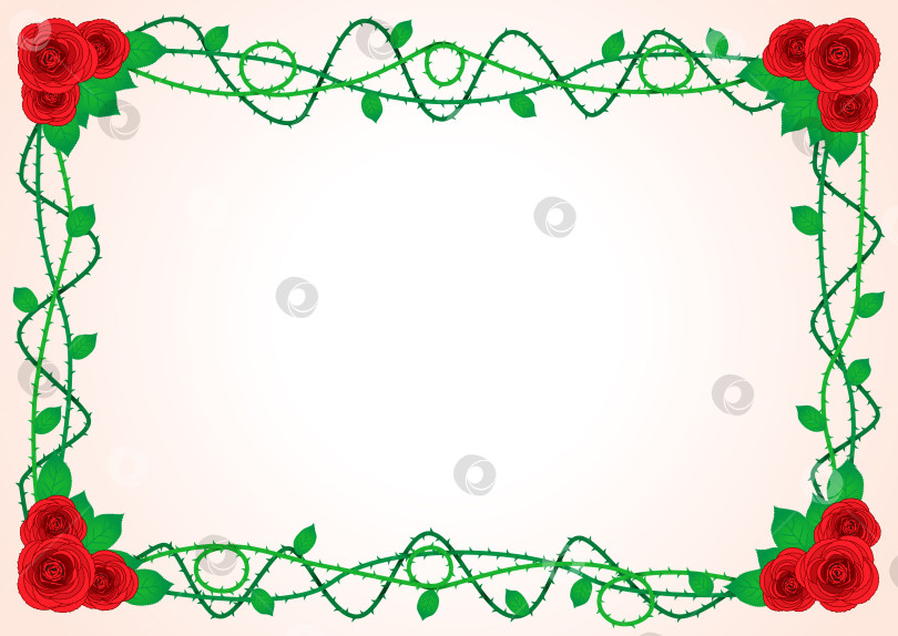 Скачать Рамка с розами и шипами фотосток Ozero