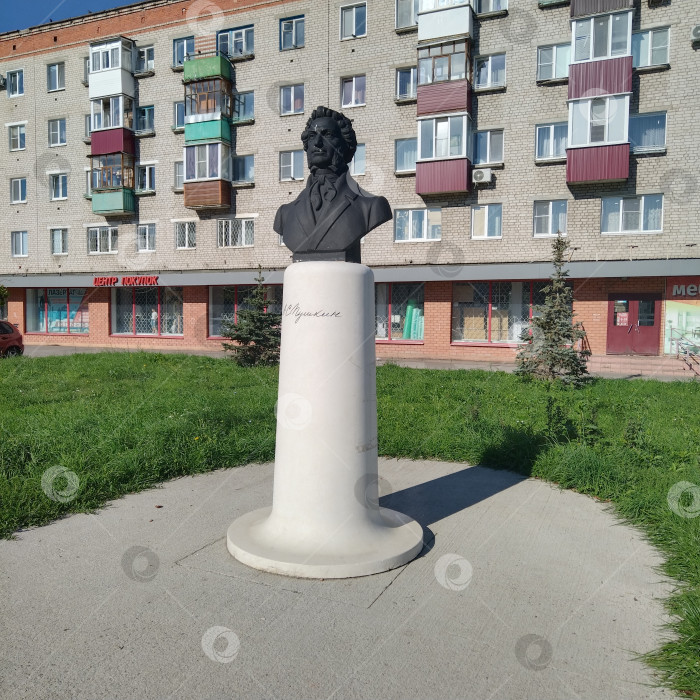 Скачать Памятник Пушкину. фотосток Ozero