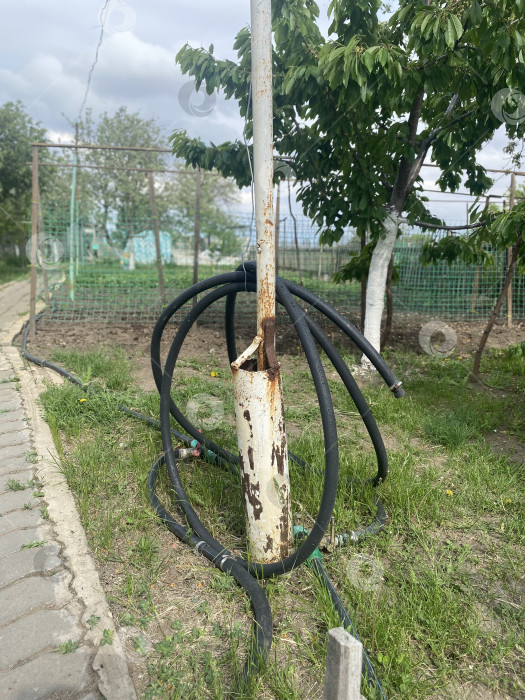 Скачать Поливочный шланг фотосток Ozero