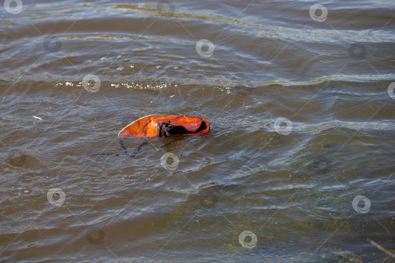 Скачать Кожаный ботинок плавает в воде. Ботинки в пруду. фотосток Ozero