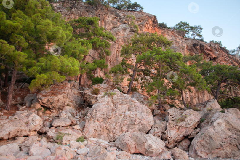Скачать Огромные скалистые камни и зеленое дерево посередине. фотосток Ozero