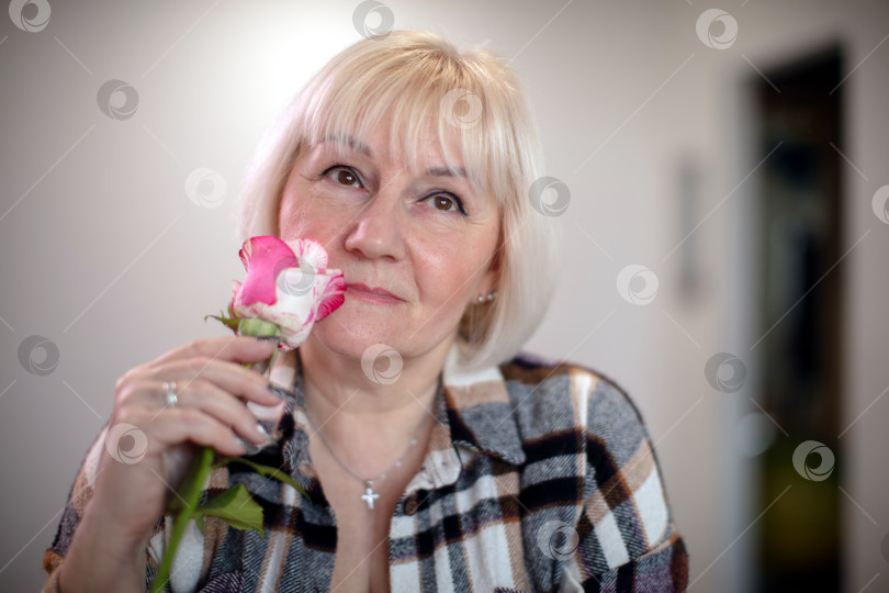 Скачать Женщина, держащая в руках бело-розовую розу и задумчиво смотрящая в уютную комнатную обстановку фотосток Ozero