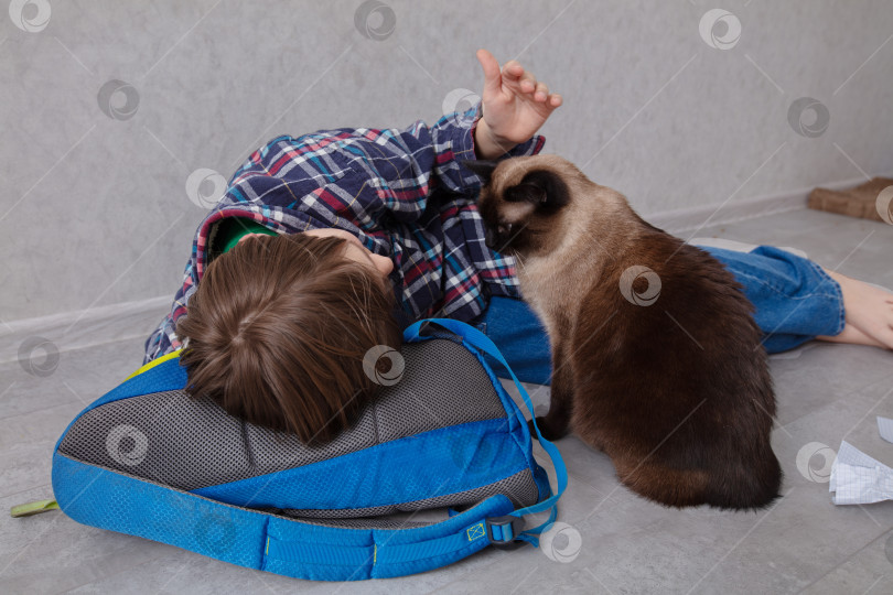 Скачать Ребенок с любовью общается с кошкой, отдыхая на рюкзаке в уютной домашней обстановке фотосток Ozero