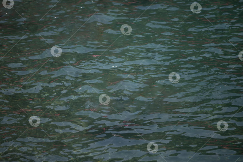 Скачать Вода темно-синяя, подернутая рябью. В воде нет видимых предметов. Вода спокойная и неподвижная фотосток Ozero