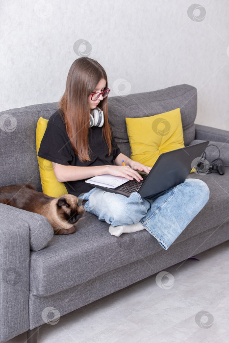 Скачать Молодая женщина работает за ноутбуком, отдыхая на сером диване с кошкой и наушниками в уютной гостиной фотосток Ozero