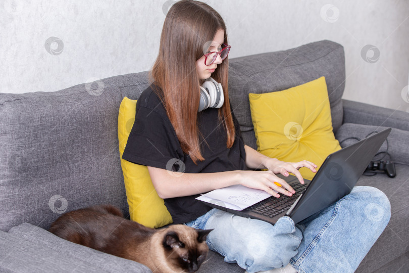 Скачать Молодая девушка работает за ноутбуком, сидя на диване рядом с кошкой в уютной обстановке гостиной фотосток Ozero