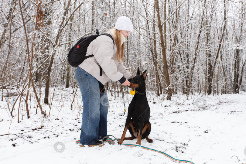 Скачать Зимняя прогулка по заснеженному лесу с собакой и хозяином, наслаждающимися игривыми моментами фотосток Ozero
