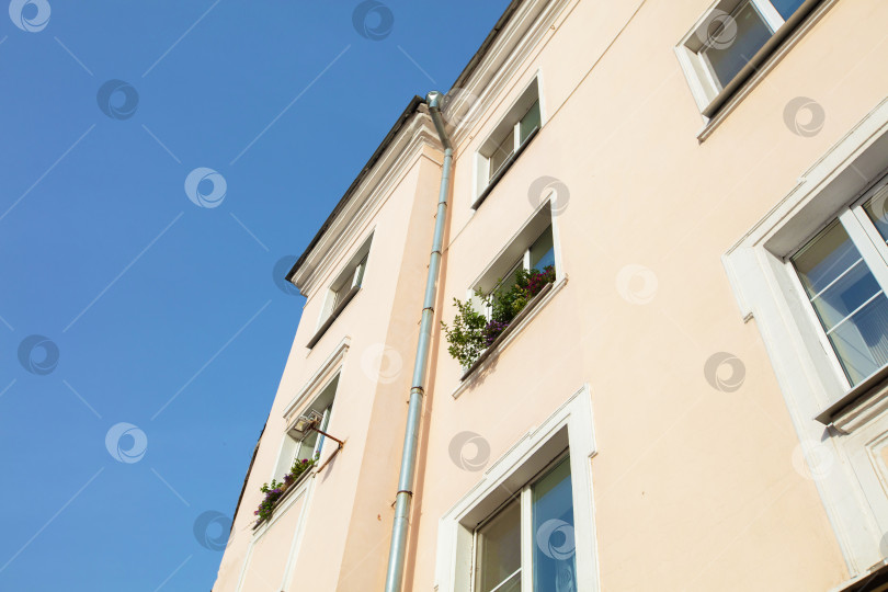 Скачать Яркий день над зданием пастельных тонов с растениями фотосток Ozero