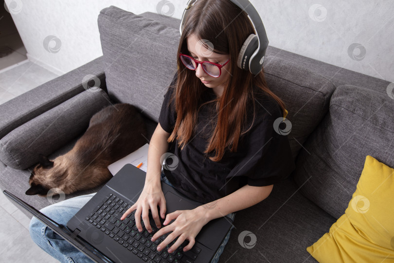 Скачать Молодая женщина в наушниках работает на ноутбуке, отдыхая дома с кошкой неподалеку фотосток Ozero
