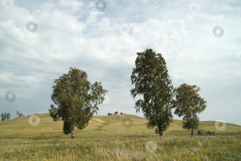 Скачать три сестры фотосток Ozero