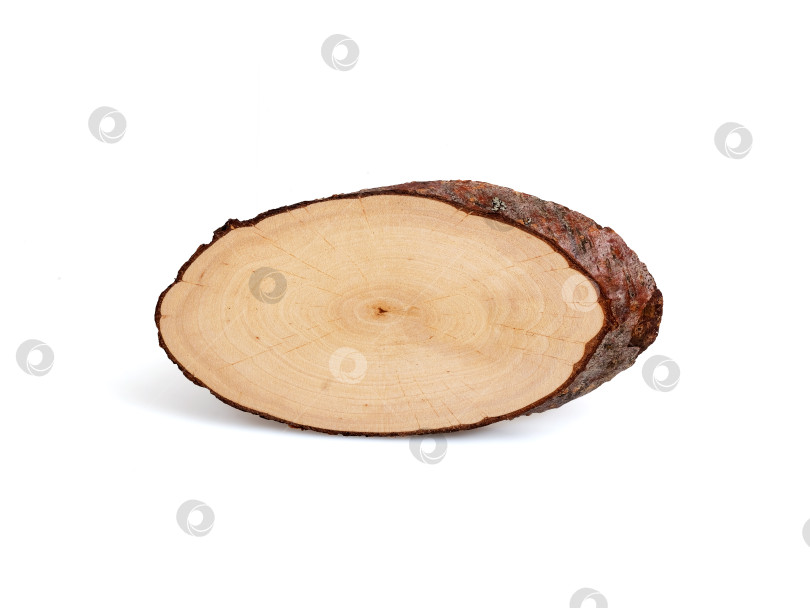 Скачать Срез деревянного бревна, выделенный на белом фоне, готов к вырезанию фотосток Ozero