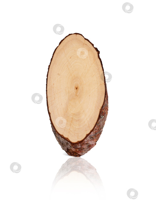 Скачать Срез деревянного бревна, выделенный на белом фоне, готов к вырезанию фотосток Ozero