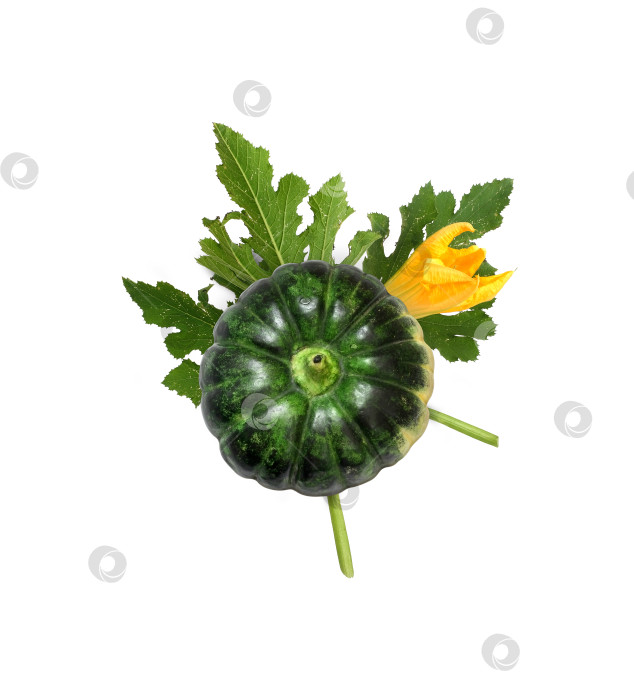 Скачать Тыква, выделенная на белом фоне для создания дизайна ко Дню всех святых (Хэллоуин) Тыква, выделенная на белом фоне для создания дизайна ко Дню всех святых (Хэллоуин) фотосток Ozero