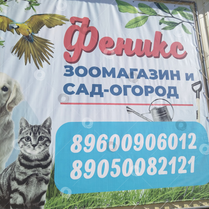 Скачать Зоомагазин "Феникс". фотосток Ozero