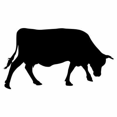[object Object] undefined