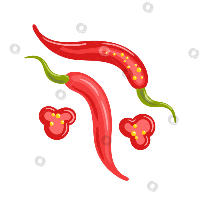 Скачать векторная иллюстрация red hot pepper с глянцевыми перцами, смелыми градиентами, четкими векторными формами, яркими красными оттенками и свежей, пряной эстетикой для брендинга и упаковки. фотосток Ozero