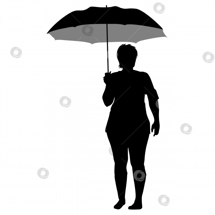 Скачать Черные силуэты женщин под зонтиком фотосток Ozero