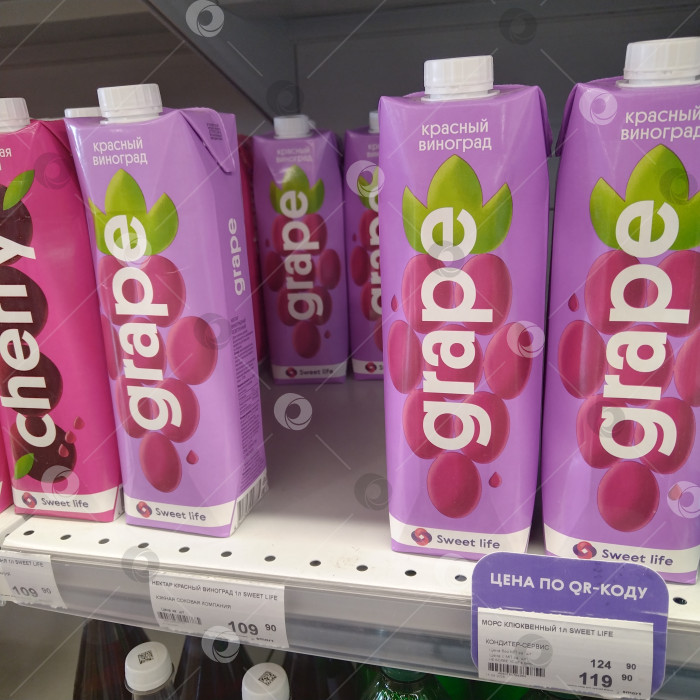 Скачать Он был похож на "Умного". фотосток Ozero