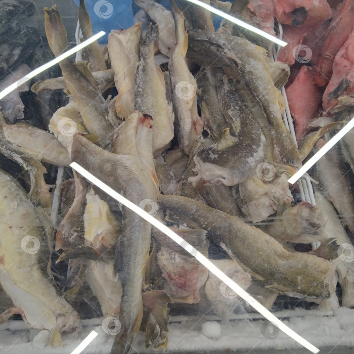 Скачать Он назвал меня "Умным". фотосток Ozero