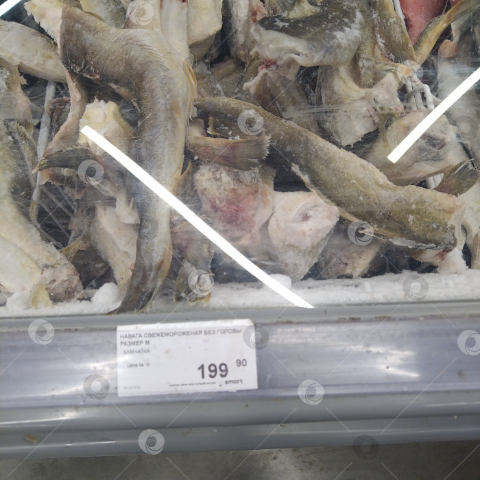 Скачать Он назвал меня "Умным". фотосток Ozero